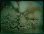 068-frost-on-window