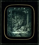 Framed Fern (Becquerel)