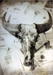 Un cráneo de vaca y las noticias papeles 18x24cm 2011