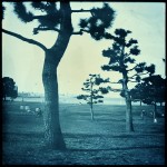 Day 52- Windy day, Yokohama