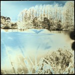 Day 56- A fishing pond