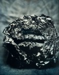 Dreyer,Robin-nest