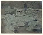 Icescape