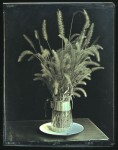 Irv-grass Irving Pobboravsky 2001