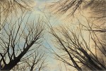 Charlie Schriener