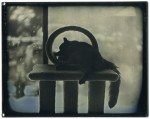 Nelson, Ken-Kitty