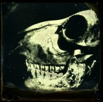 anthropomorphous-ii