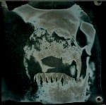 anthropomorphous-iii