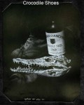 crocodileshoes-copy