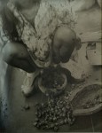 img029