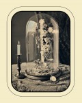 Vitrine